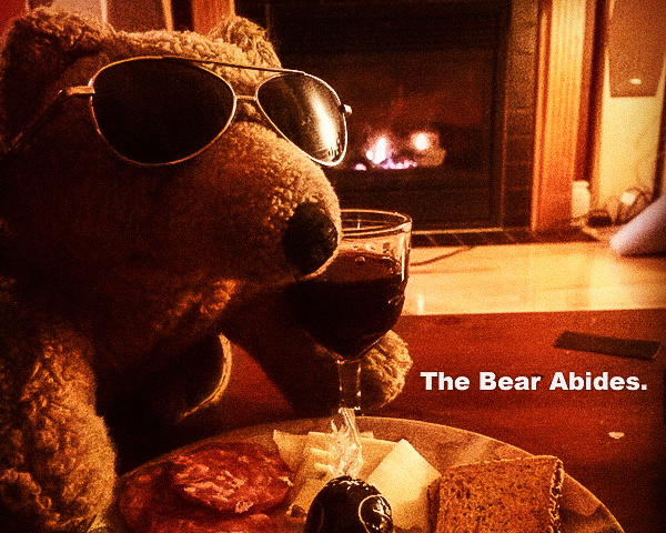 Biff Da Bear Collection - Andrew Moor Photography