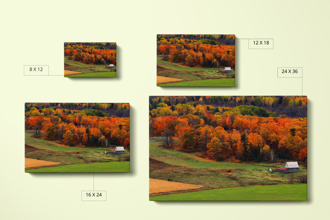 Autumn Field Canvas Art Print - Canvas Comparison - Andrew Moor Photography
