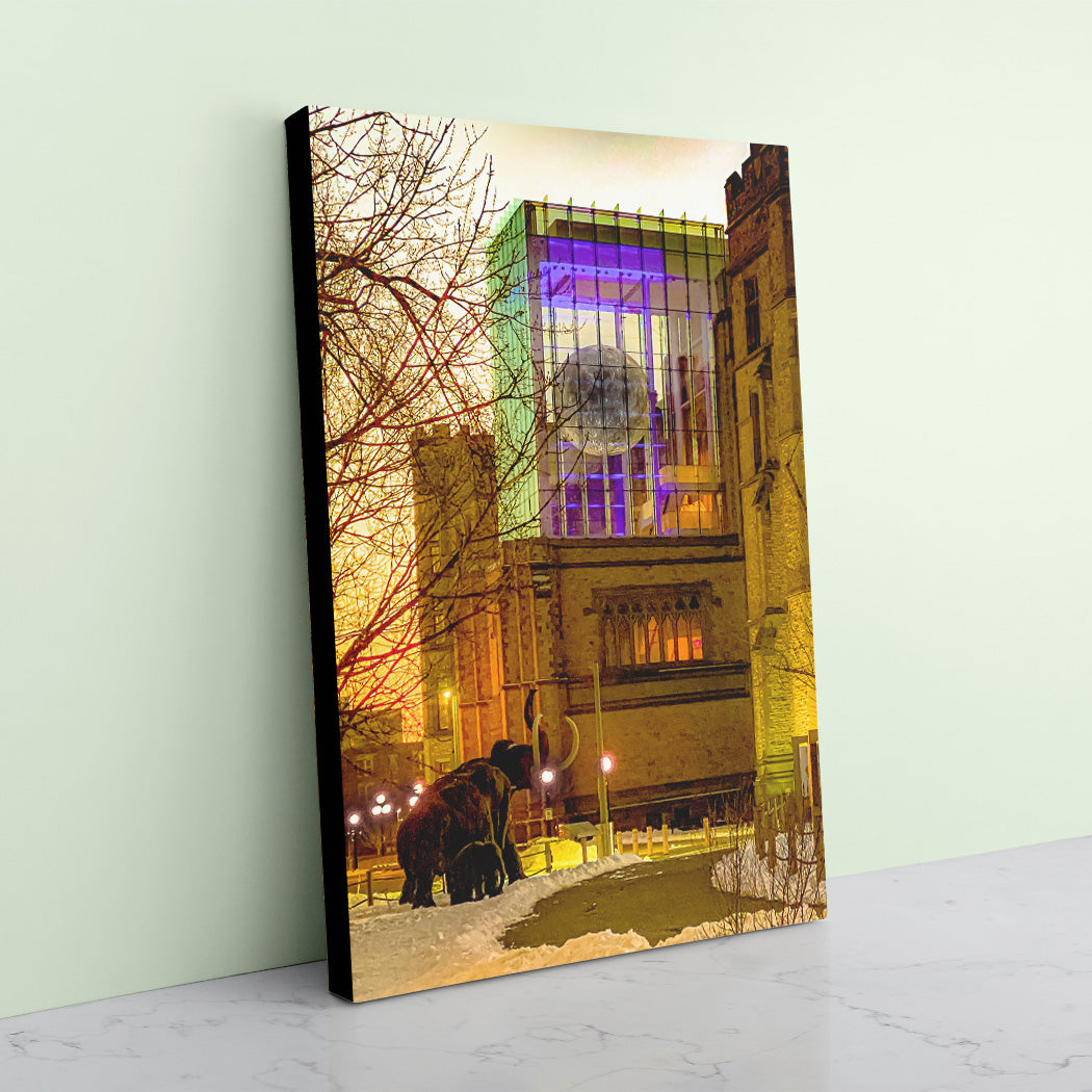 Mammoth Morning Canvas Art Print - Black Edges - Andrew Moor Photography
