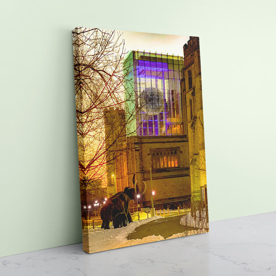 Mammoth Morning Canvas Art Print - Image Edges - Andrew Moor Photography