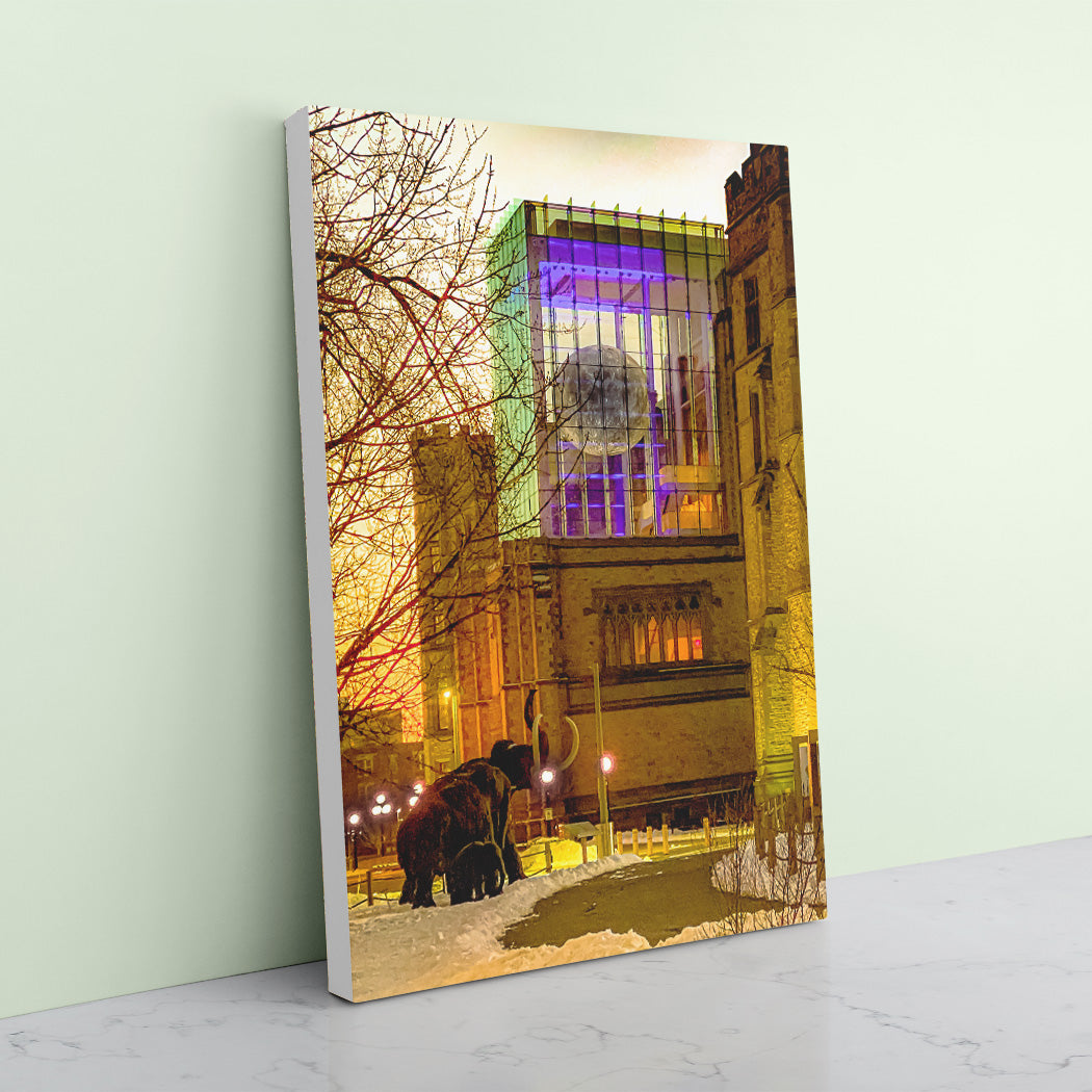 Mammoth Morning Canvas Art Print - White Edges - Andrew Moor Photography