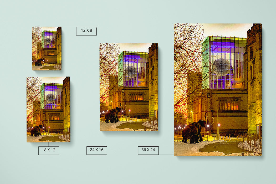 Mammoth Morning Canvas Art Print - Canvas Comparison - Andrew Moor Photography