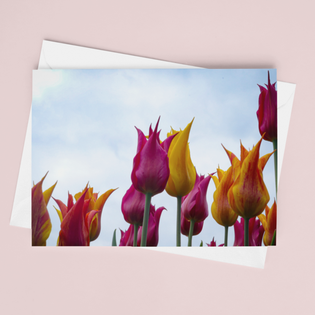 Tulip Horizon Notecard - Andrew Moor Photography
