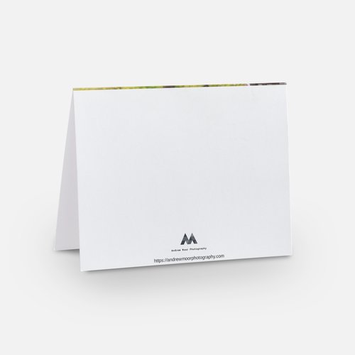 back view of a landscape note card - Andrew Moor Photography