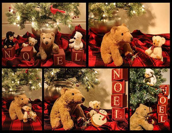 Biff and Friends Holiday Cards - (5 Pack Variety) - Andrew Moor Photography
