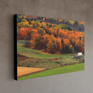 Autumn Field Canvas Print - Black Edges - Andrew Moor Photography