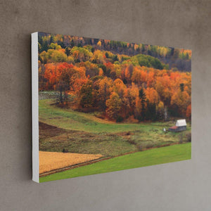 Autumn Field Canvas Print - White Edges - Andrew Moor Photography
