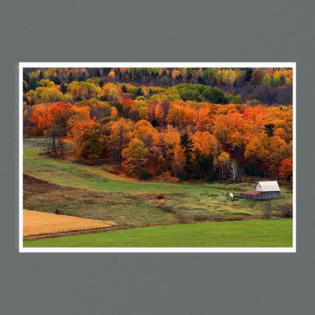 Autumn Field 9 x 6 Photographic Print - Andrew Moor Photography