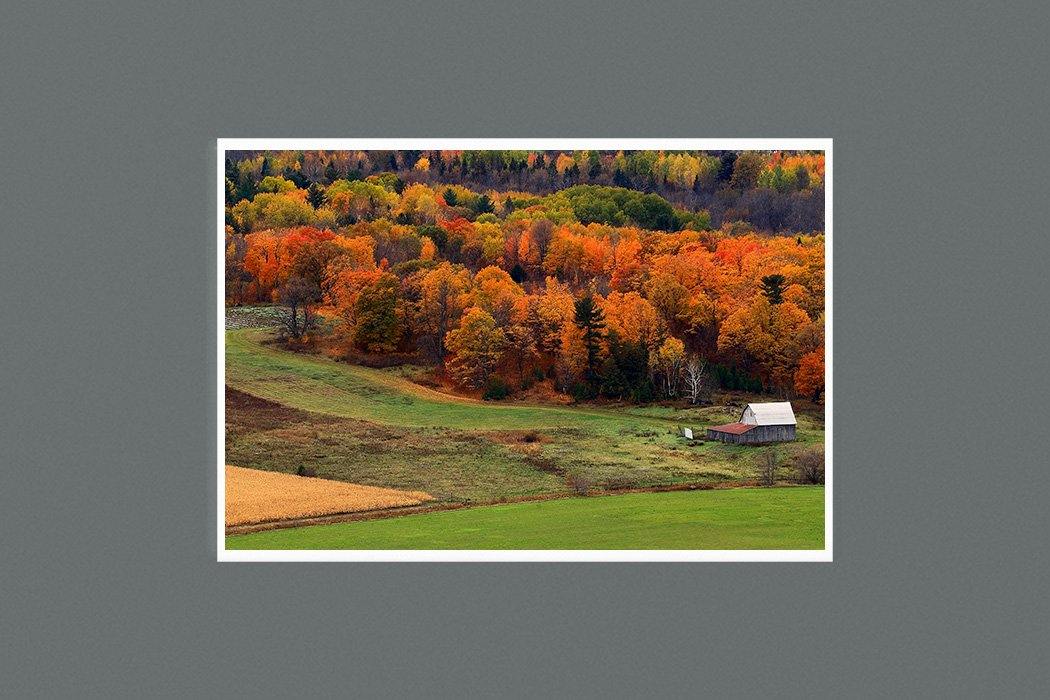 Autumn Field 9 x 6 Photographic Print - Andrew Moor Photography