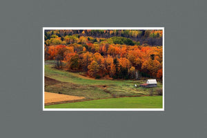 Autumn Field 9 x 6 Photographic Print - Andrew Moor Photography