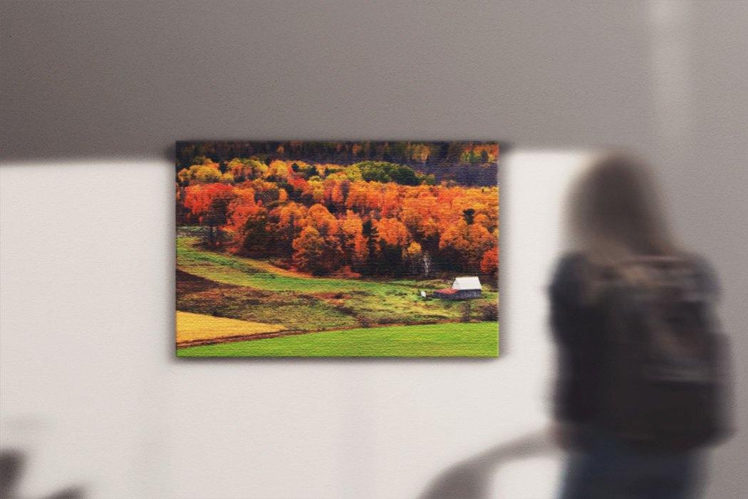 Autumn Field Canvas Main - Andrew Moor Photography