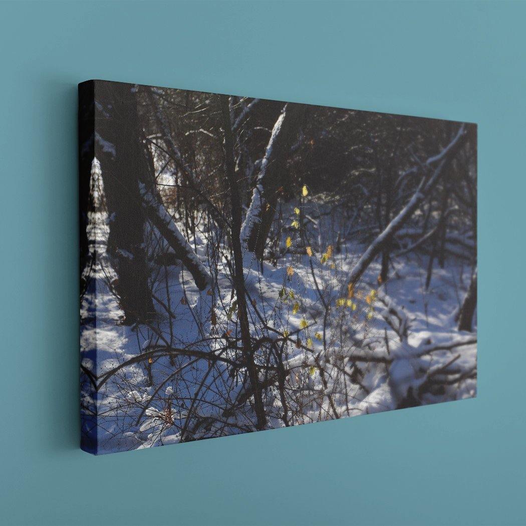 Autumn Field Canvas Print - Image Edges - Andrew Moor Photography