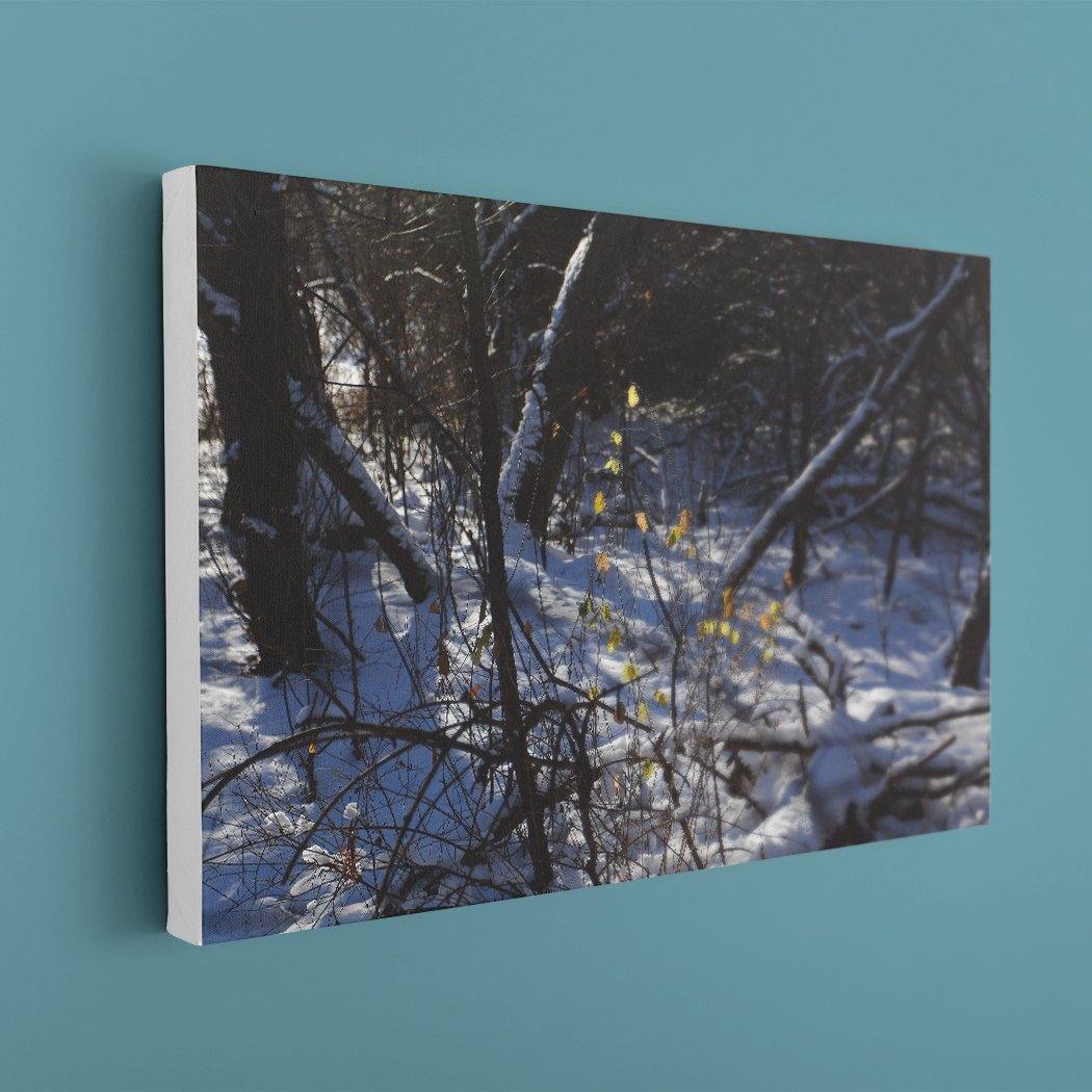 Autumn Field Canvas Print - White Edges - Andrew Moor Photography