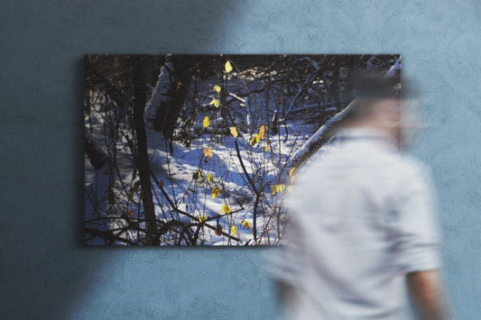 Autumn Holdout Canvas Main - Andrew Moor Photography