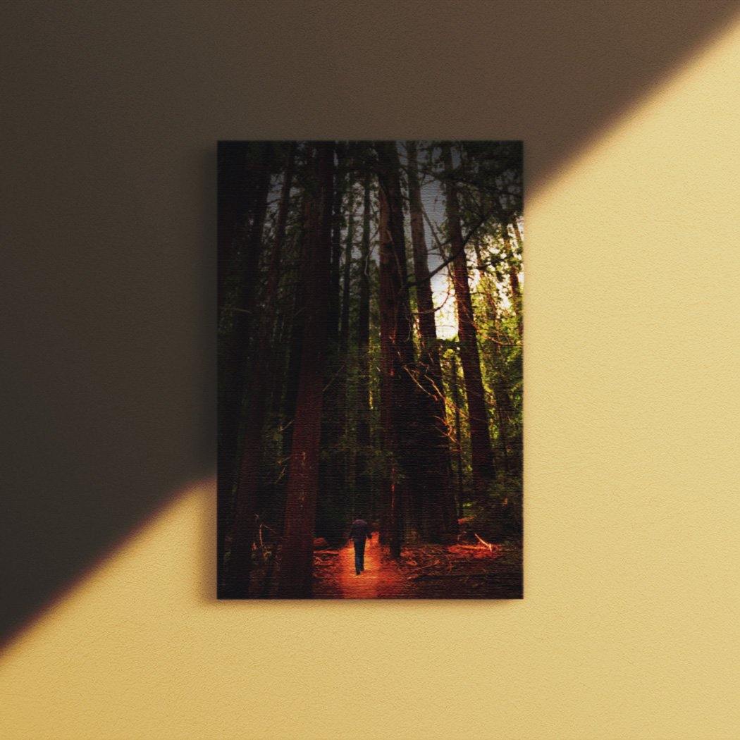 Avenue of the Giants Canvas Square - Andrew Moor Photography