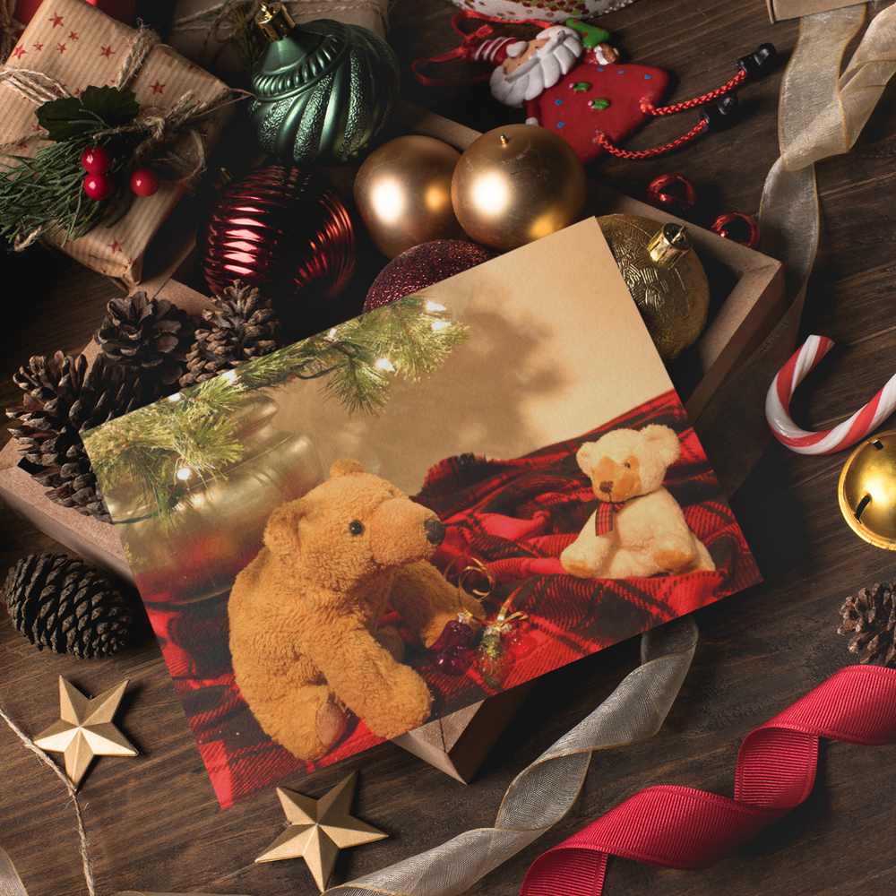 Biff and Barry - Ornaments Card - Andrew Moor Photography