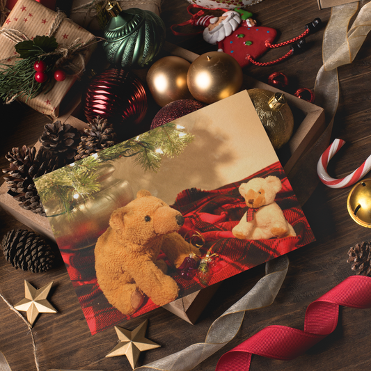 Biff and Barry - Ornaments Card - Andrew Moor Photography