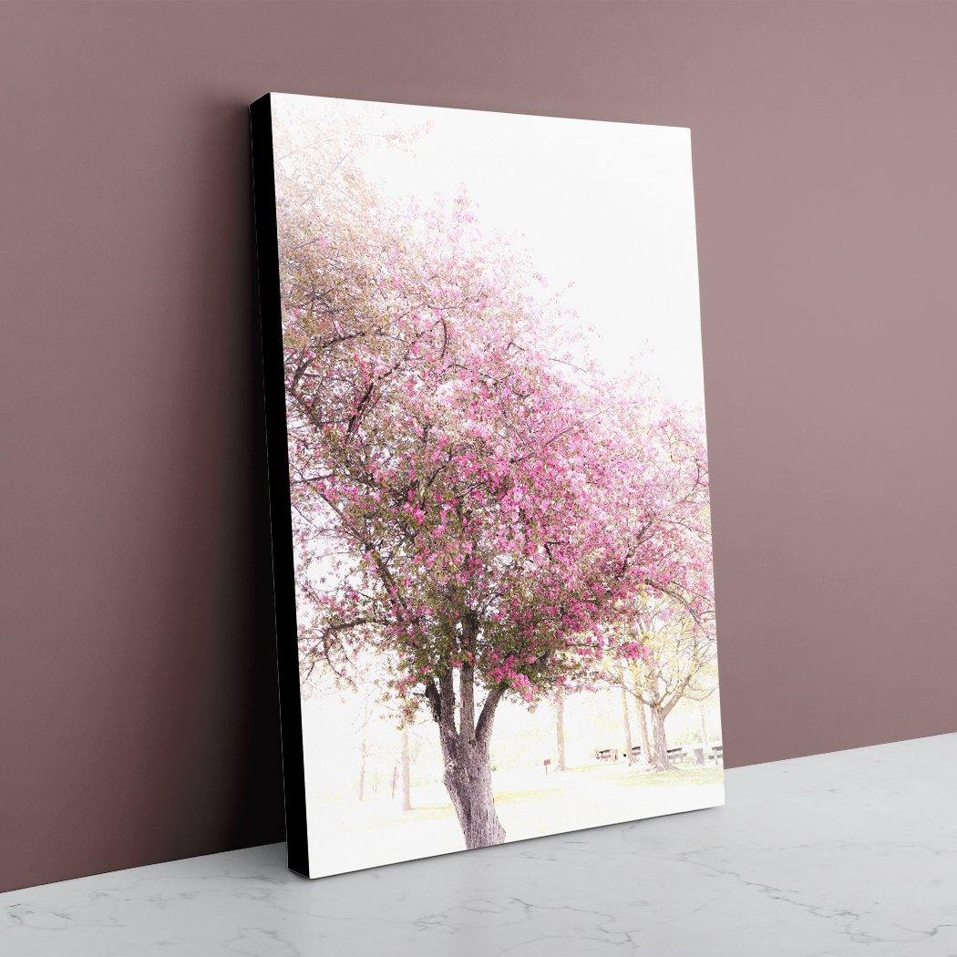 Cherry Mist - Black Edges - Andrew Moor Photography