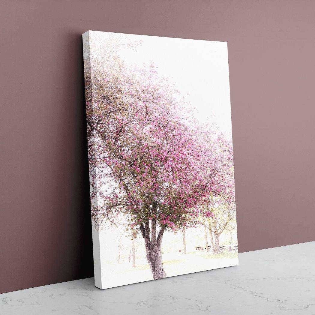 Cherry Mist - Image Edges - Andrew Moor Photography