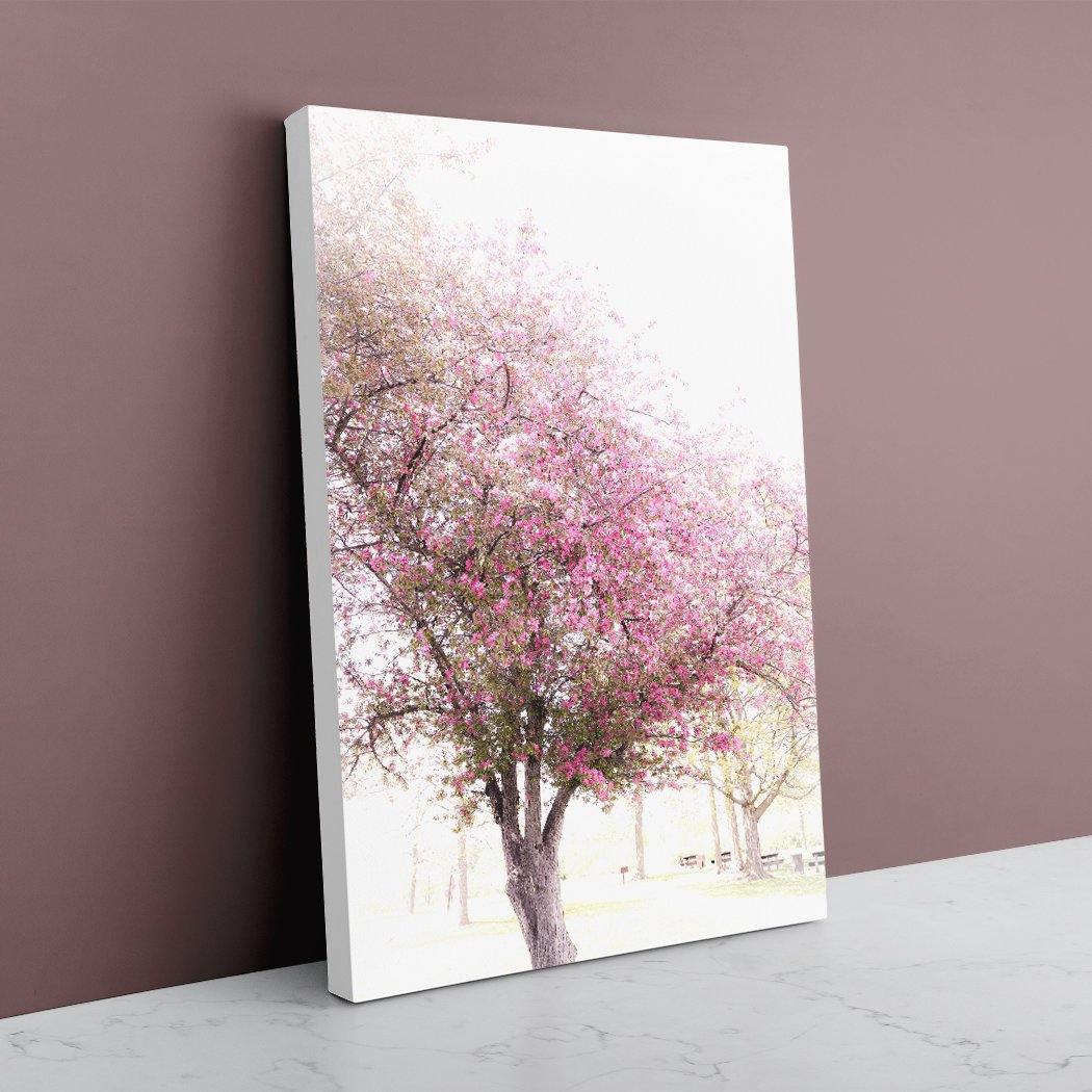 Cherry Mist - White Edges - Andrew Moor Photography