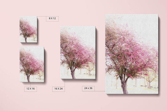 Cherry Mist - Canvas Compare Main - Andrew Moor Photography