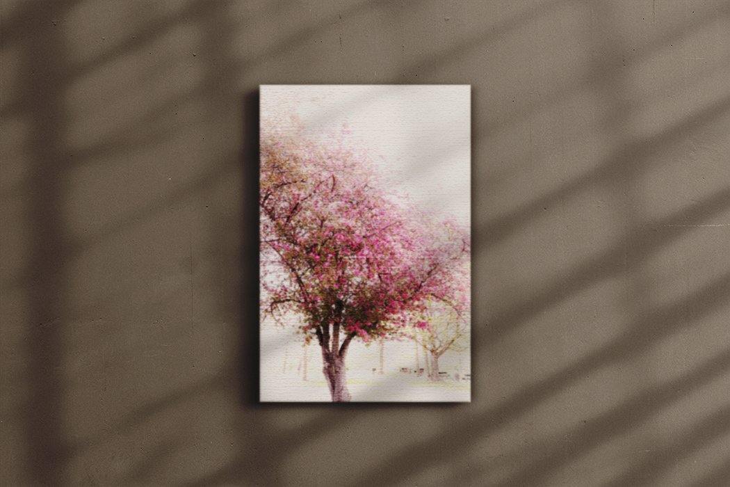 Cherry Mist - Canvas Main - Andrew Moor Photography