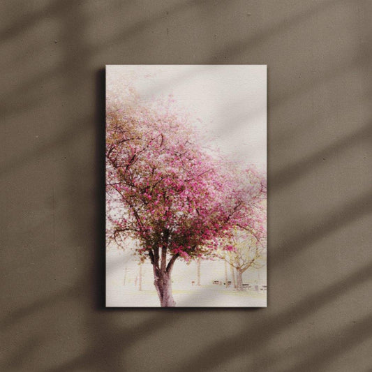 Cherry Mist - Canvas Square - Andrew Moor Photography