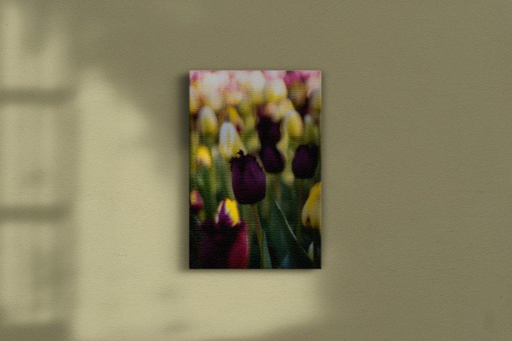 Deep Purple Tulip Canvas Print - Main - Andrew Moor Photography