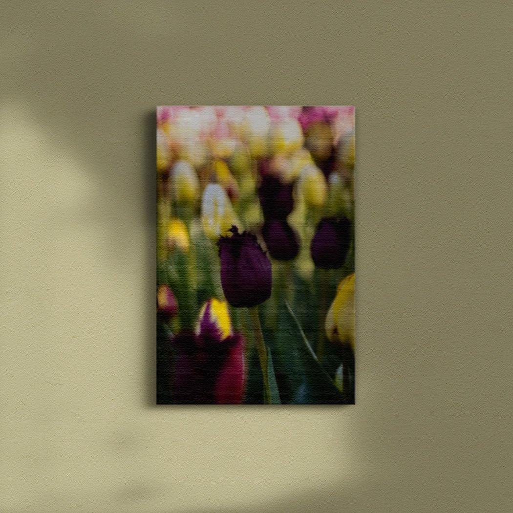 Deep Purple Tulip Canvas Print - Square - Andrew Moor Photography