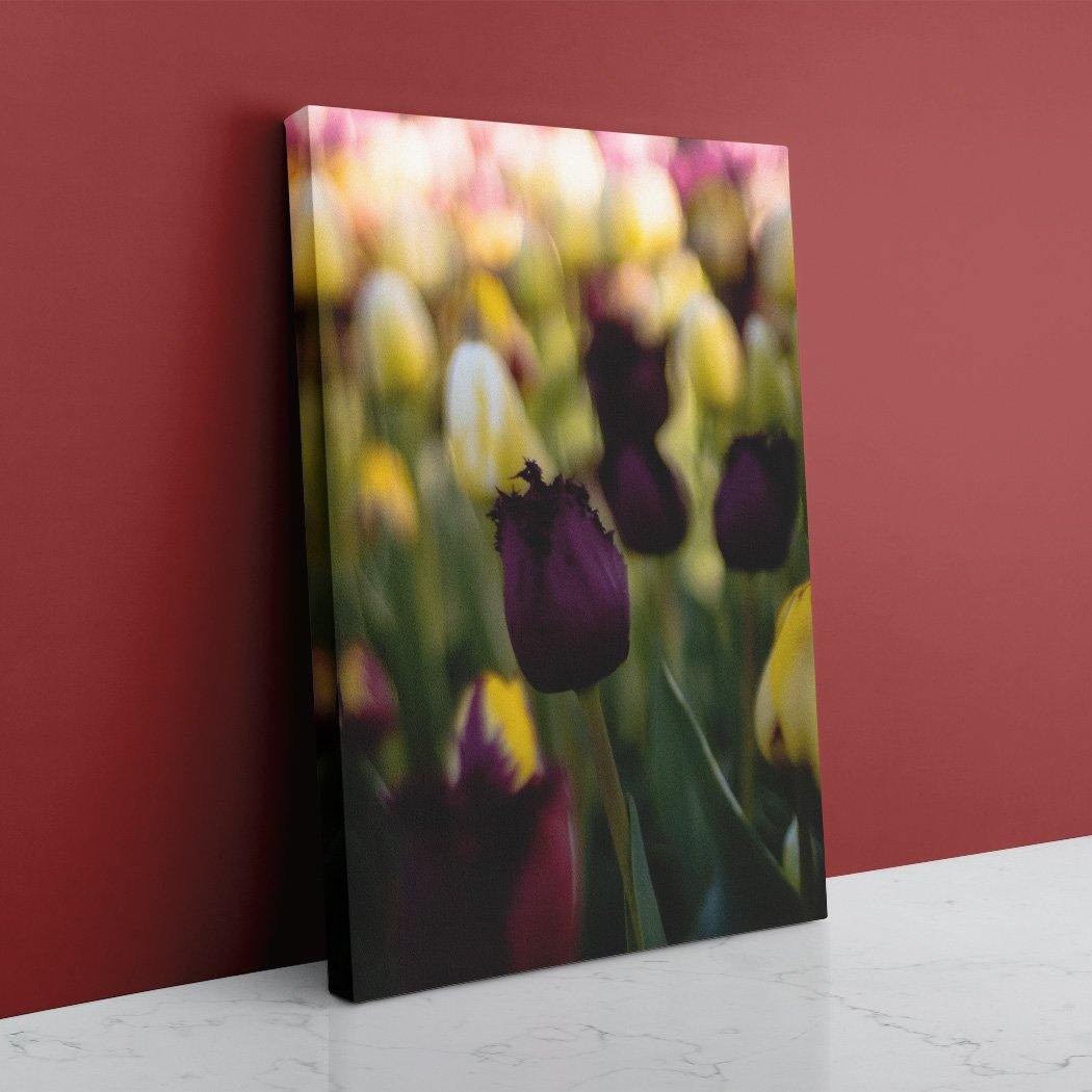 Deep Purple Tulip Canvas - Image Edges - Andrew Moor Photography