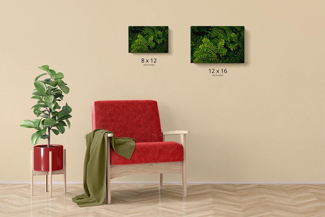 Forest Ferns Canvas Main - Andrew Moor Photography