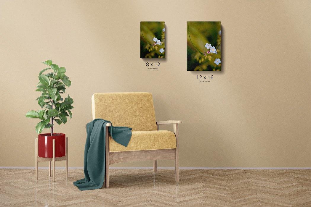Forget-me-nots Canvas Main - Andrew Moor Photography