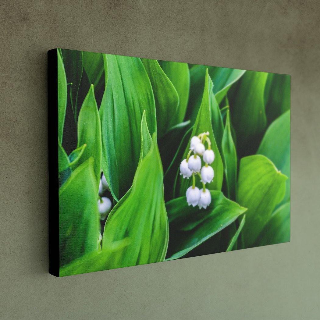 Lily of the Valley - Canvas Print - Black Edges - Andrew Moor Photography