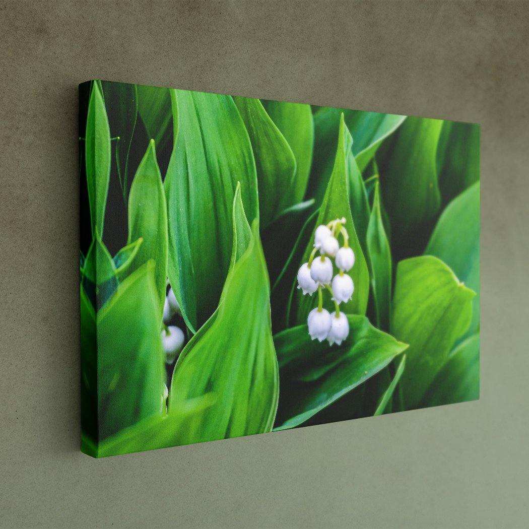 Lily of the Valley - Canvas Print - Image Edges - Andrew Moor Photography