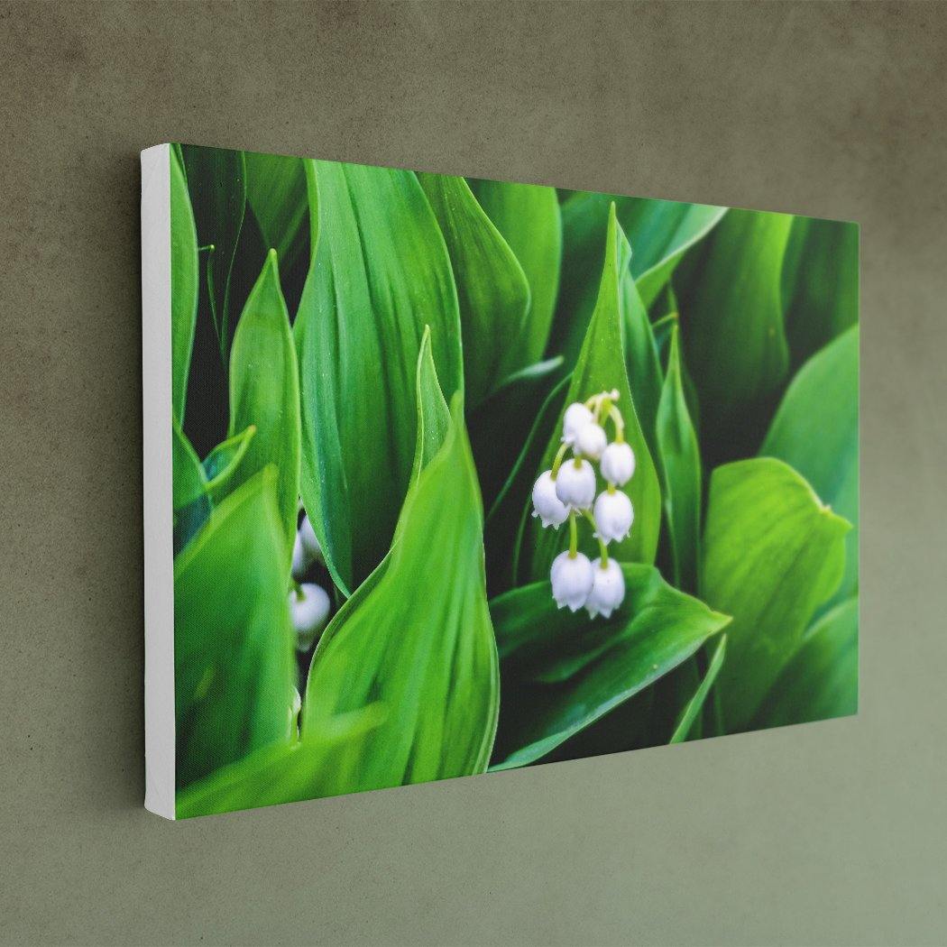 Lily of the Valley - Canvas Print - White Edges - Andrew Moor Photography