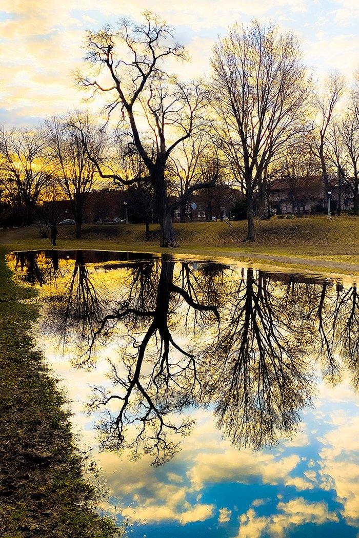 Morning Reflection - Catalog Image - Andrew Moor Photography