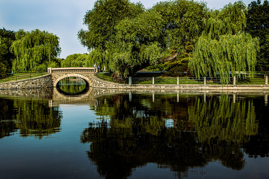 Patterson Creek Bridge - Catalog Image - Andrew Moor Photography