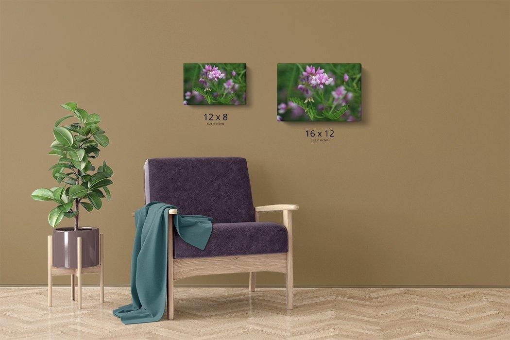 Purple Wildflower Canvas Main - Andrew Moor Photography