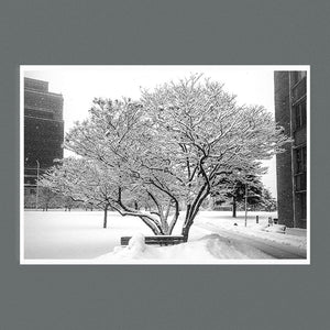 Snow Day 9x6 Photographic Print - Square - Andrew Moor Photography