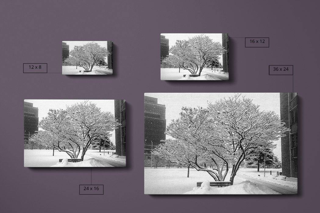 Snow Day Canvas Compare Main - Andrew Moor Photography