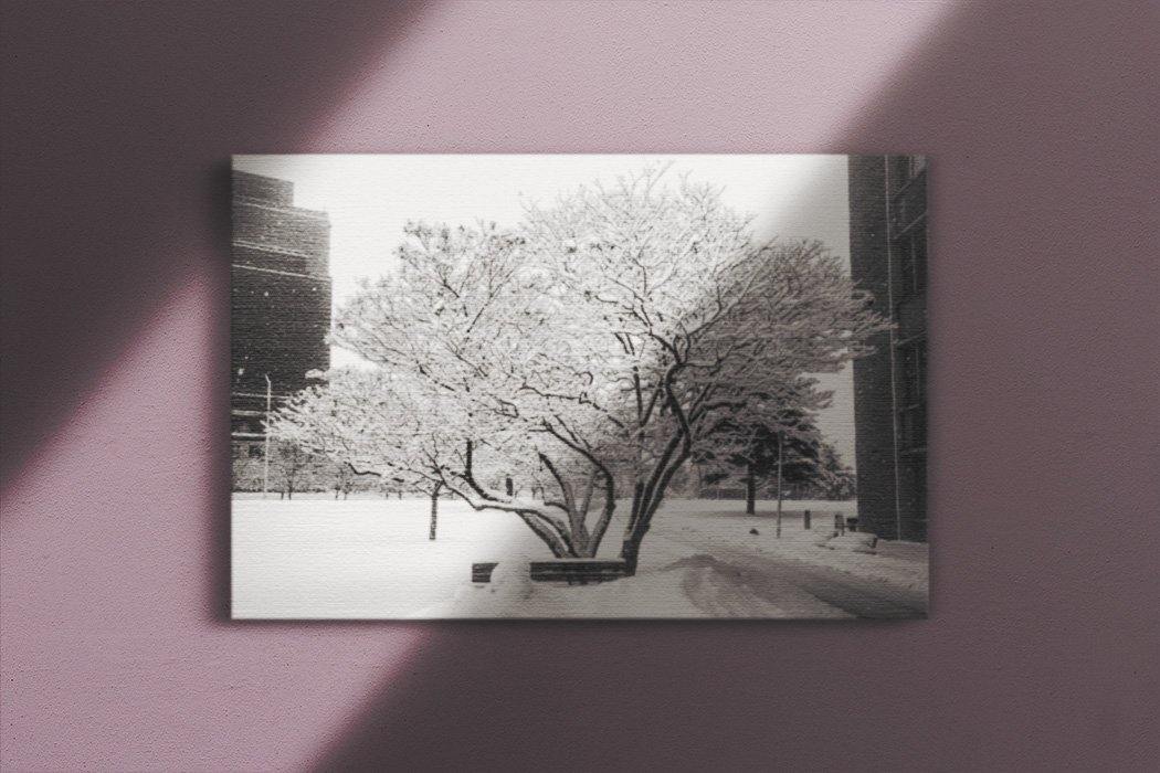 Snow Day Canvas Main - Andrew Moor Photography