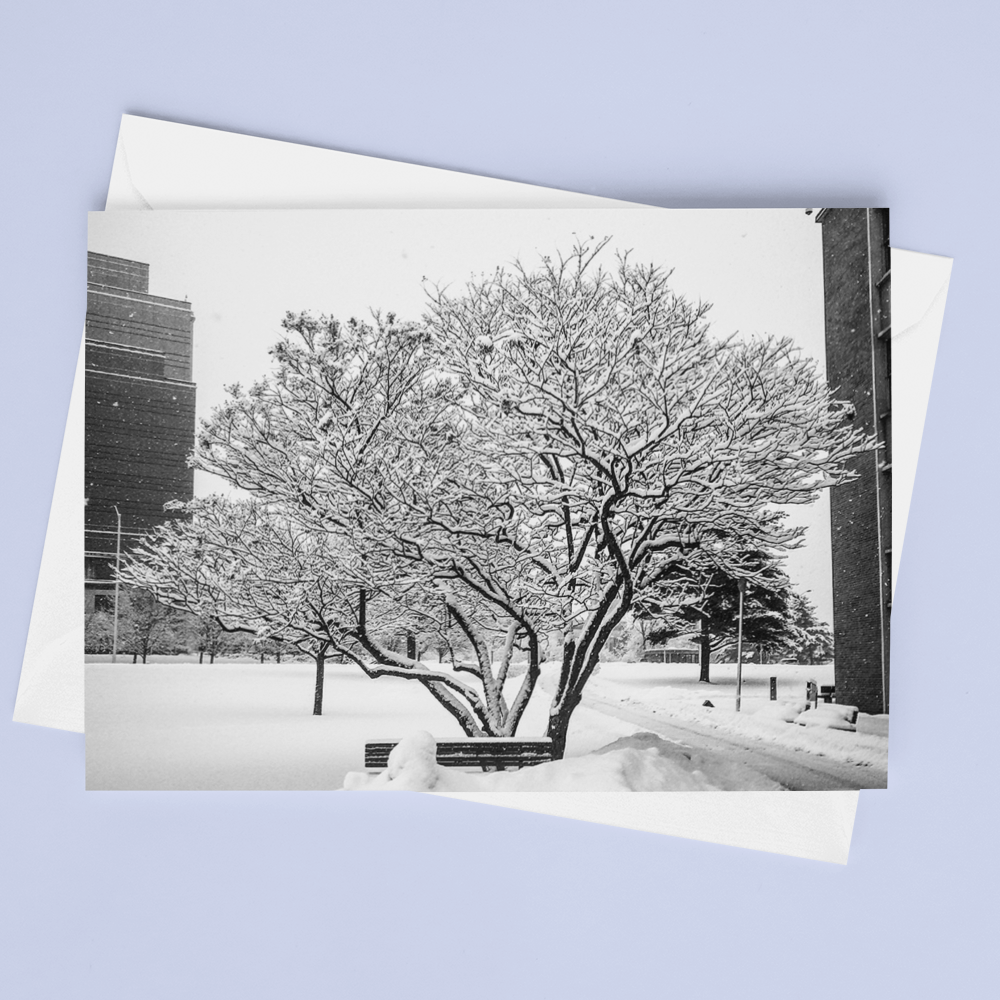 Snow Day Card - Andrew Moor Photography