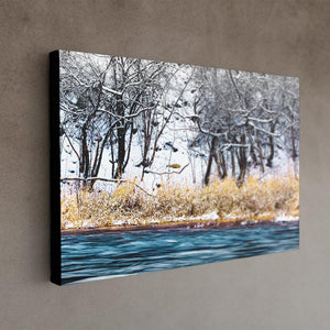 Winter Rivergrass - Canvas print - Black Edges - Andrew Moor Photography