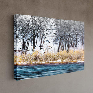 Winter Rivergrass - Canvas print - Image Edges - Andrew Moor Photography