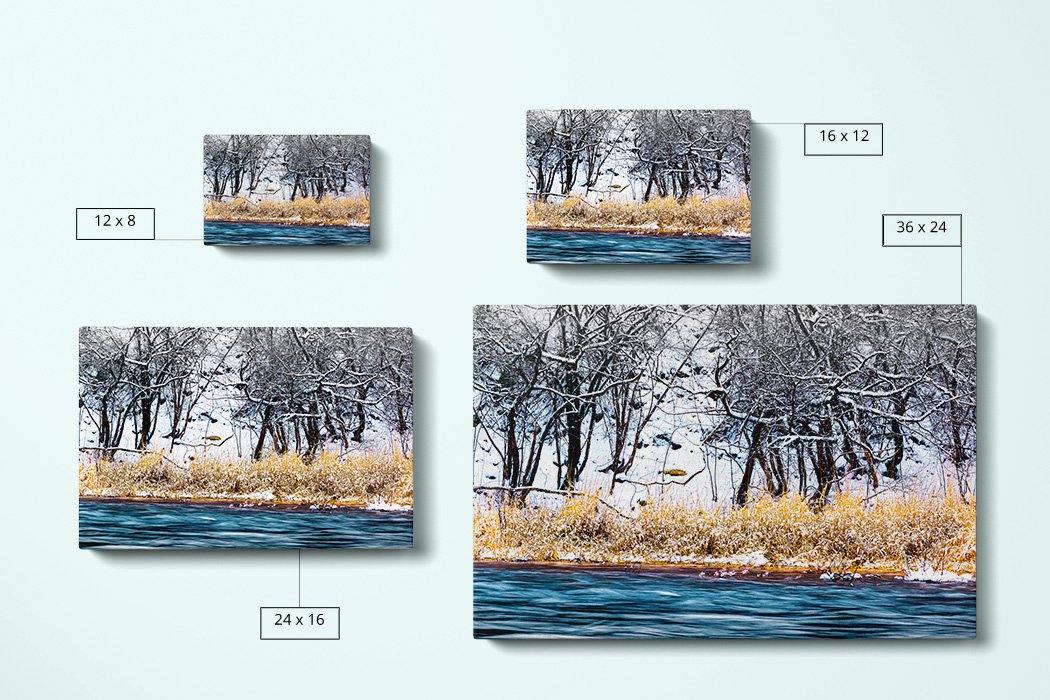 Winter Rivergrass Canvas Compare Main - Andrew Moor Photography