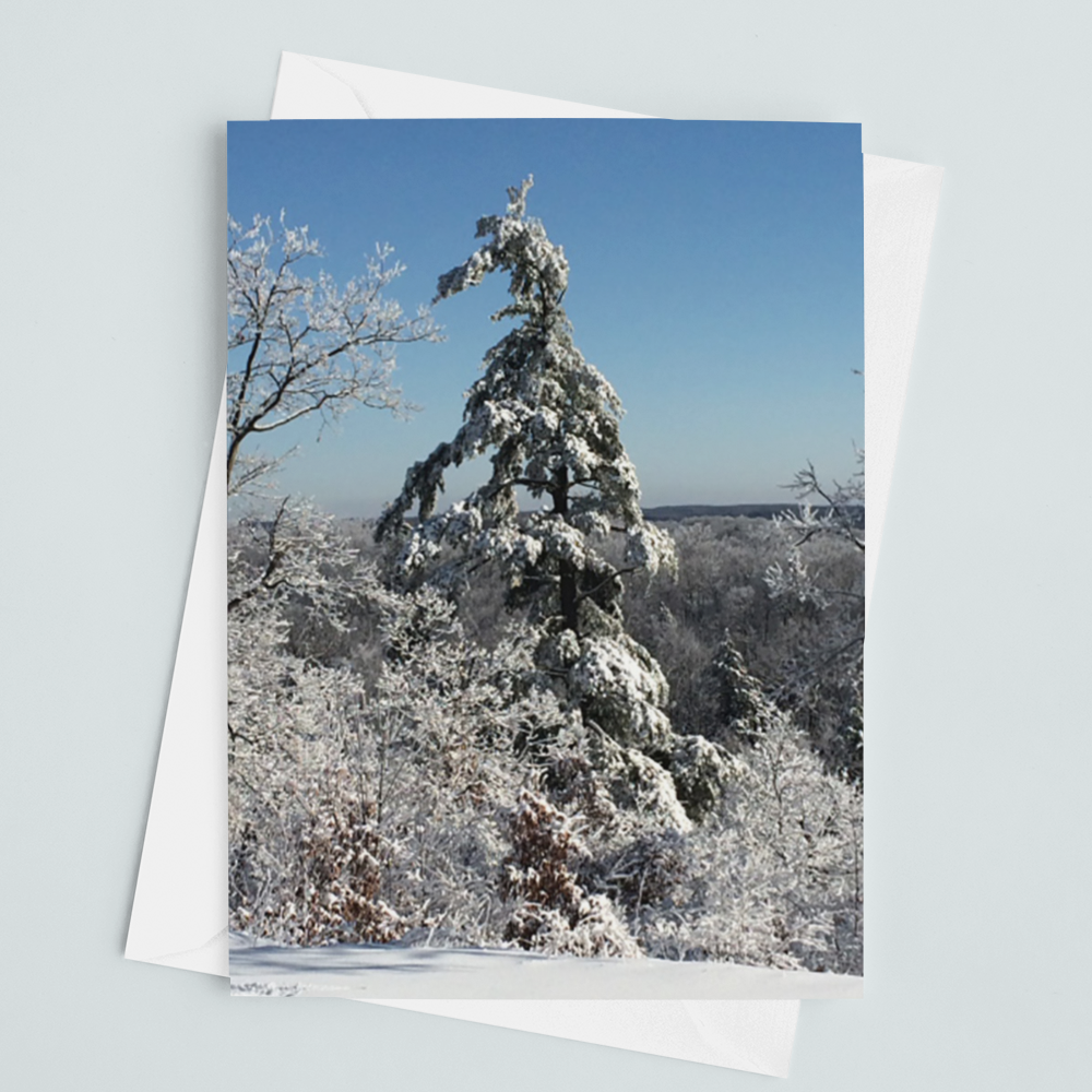 Winter Tree Card - Andrew Moor Photography