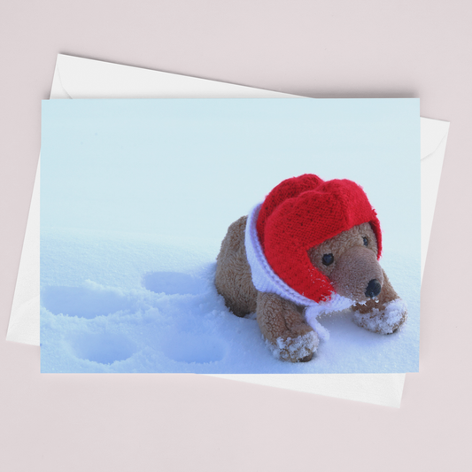 Winter Walk Card - Andrew Moor Photography