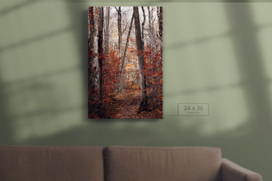 Wolf Trail Canvas - Andrew Moor Photography