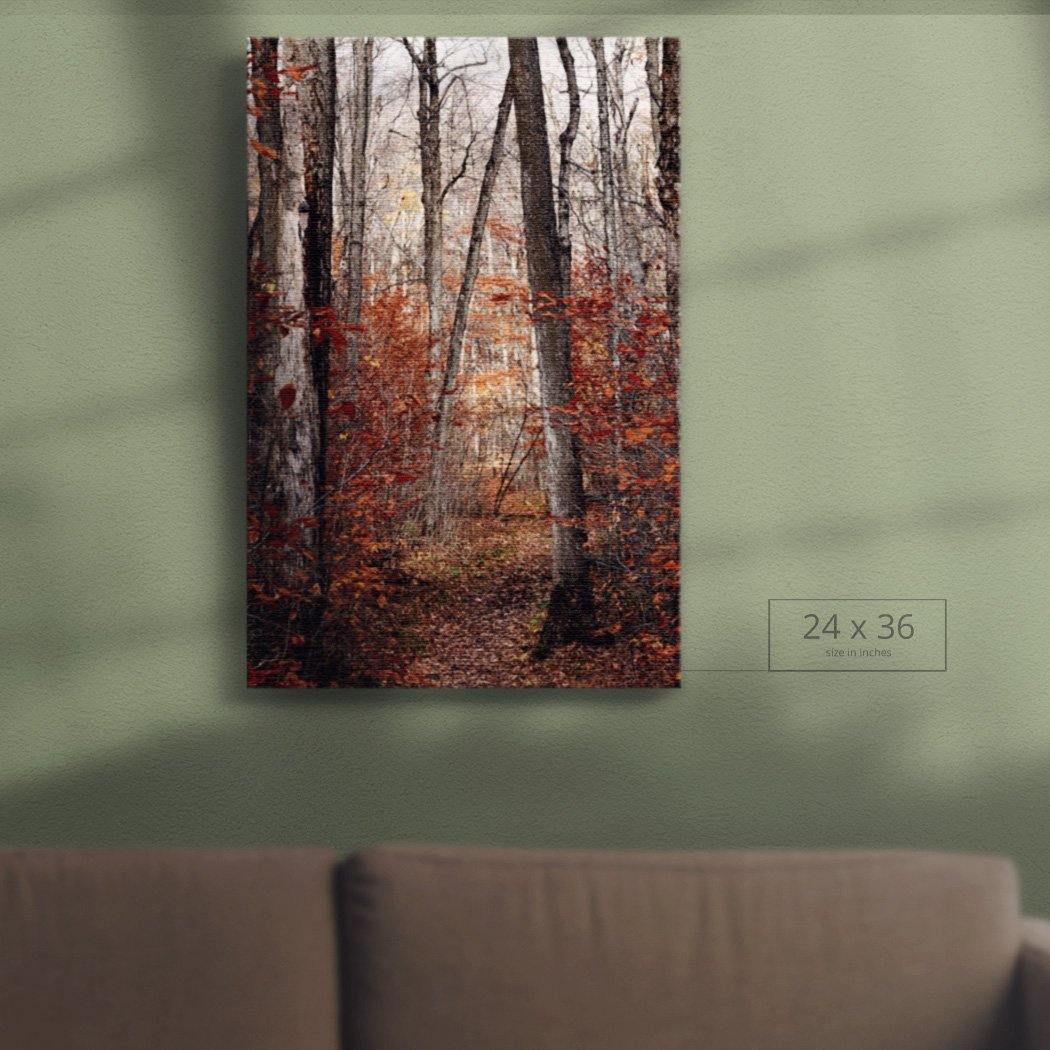 Wolf Trail Canvas Square - Andrew Moor Photography