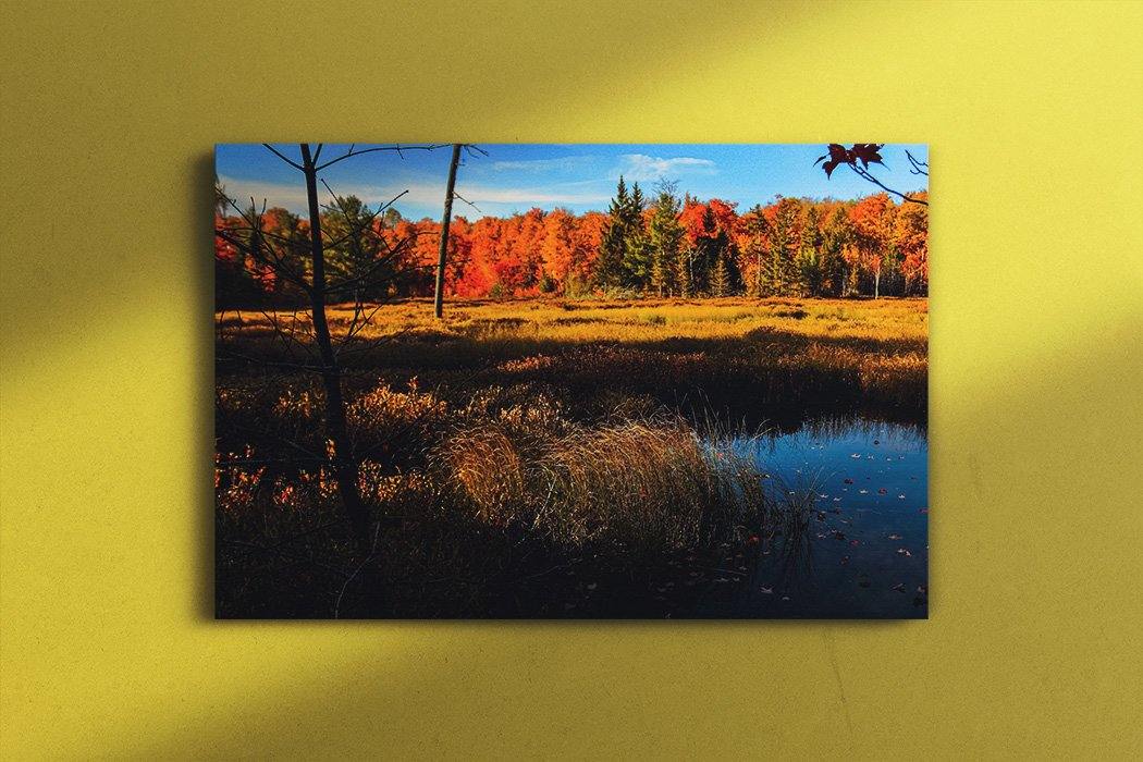 Wolf Trail Pond - October Canvas Main - Andrew Moor Photography